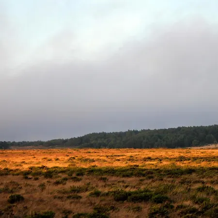 Bauernhof Monte De Santo Antonio - Turismo Rural